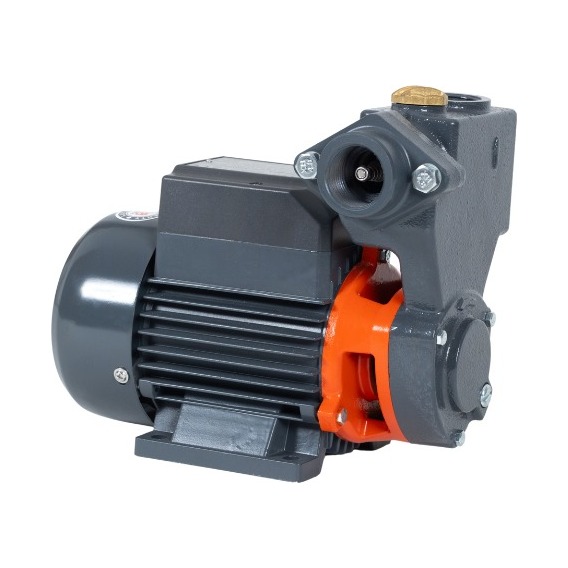 [XKSM80] Leo self-priming peripheral pump 1 HP, 110 V