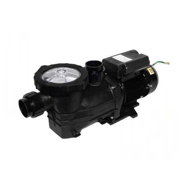 [111066 / AP-200] BOMBA ARGENTUM PRO 2 HP, 110/220V