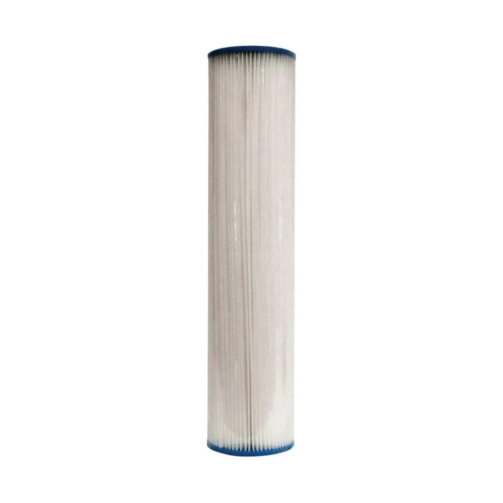 Watts pleated cartridge 9.75" 20 micron