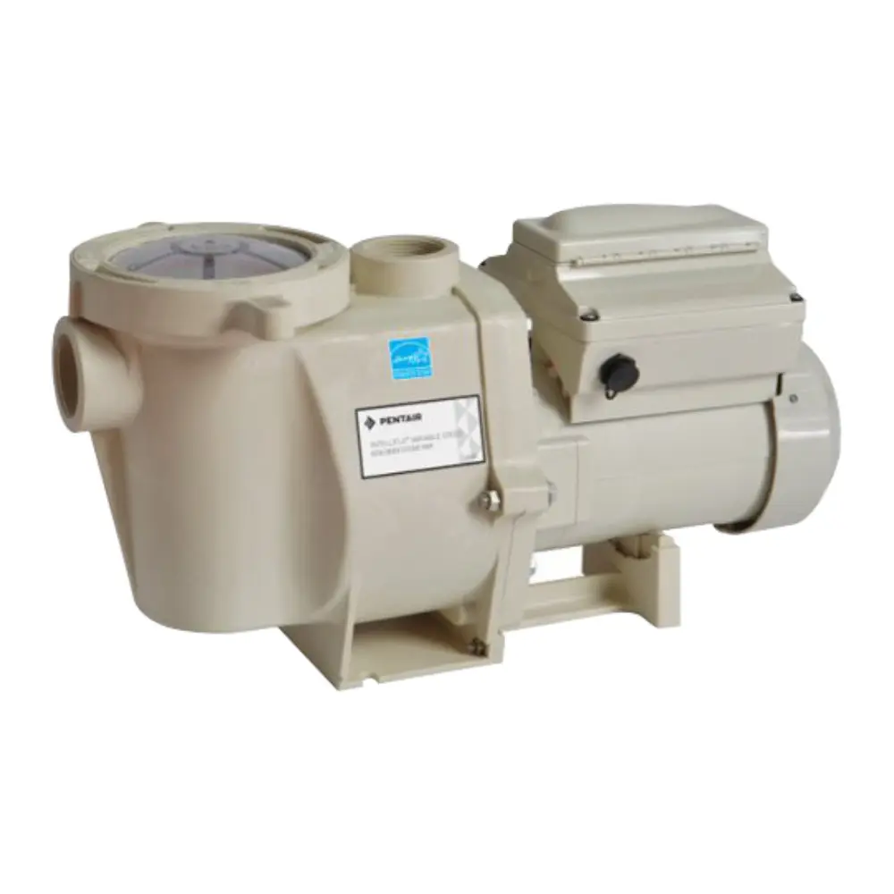 [111250] MOTOBOMBA PISCINA INTELLIFLO VS-STVS 1F, 230V ANTI ATRAPAMIE