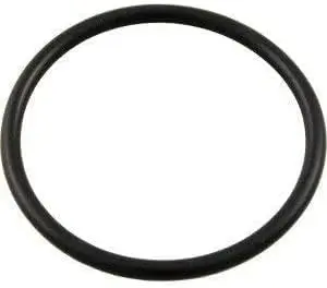ORING DE LA TAPA P/ INTELLIFLO, WHISPERFLO, CHALLENGER