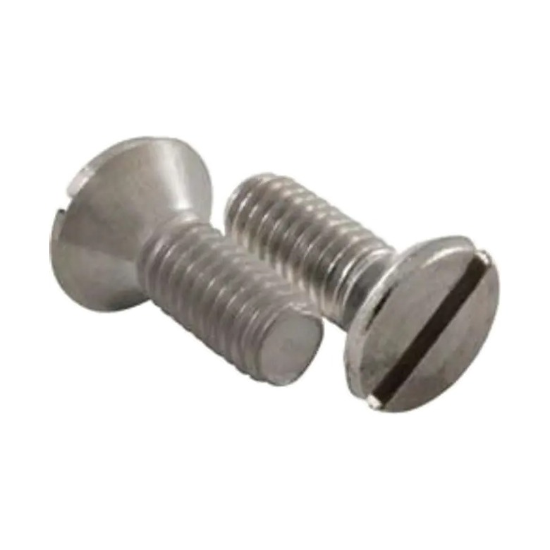 Tornillo de la Tapa Desnatador Hayward SP-1070 y SP-1096