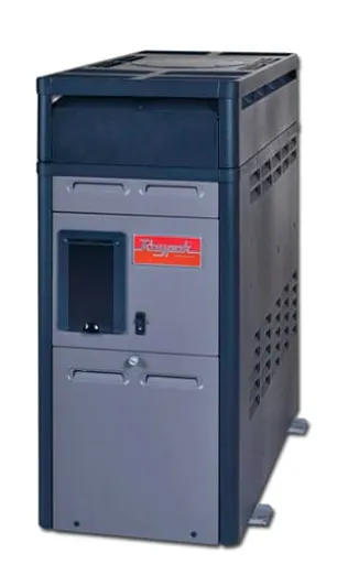 CALENTADOR P-R106AP GAS PROPANO, RAYPAK