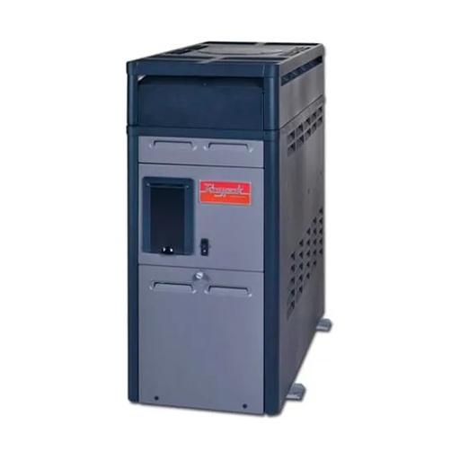 Calentador de gas Raypak